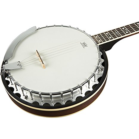 best starter banjos