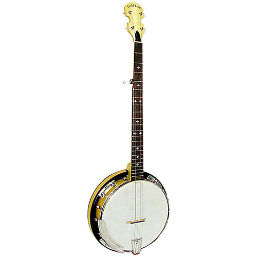 Top banjo for beginners