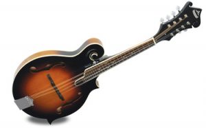 best f-style mandolin