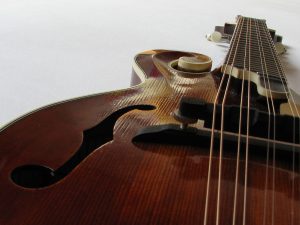 best mandolin for beginners