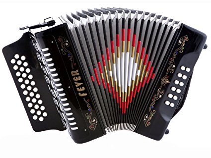 4 Best Accordions For Beginners - Diatonic - Music to My Wallet