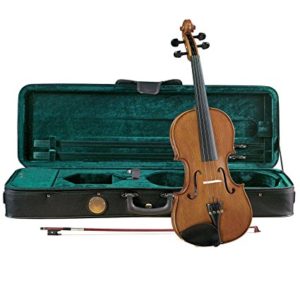 Best student fiddles