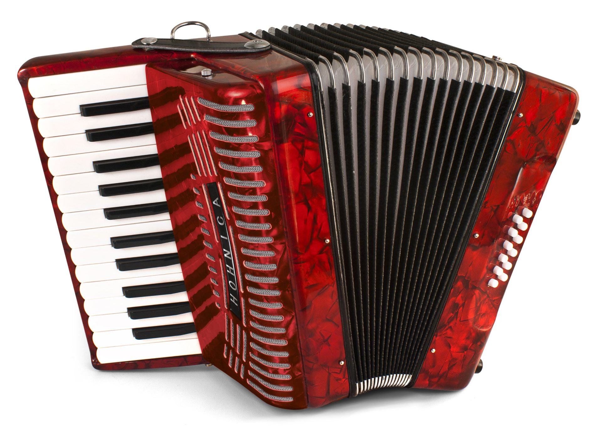 6 Best Piano Accordions For Beginners [2023] - Music To My Wallet