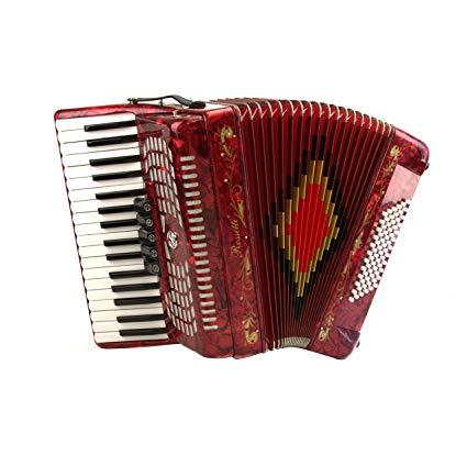 Best Piano Accordions For Beginners
