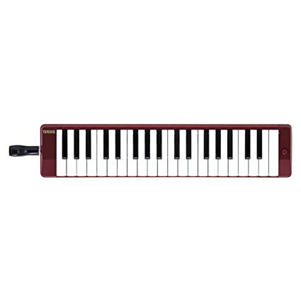 Best Melodica for Beginners
