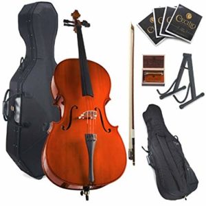 Cecilio CCO-100 Student Cello - Best Cellos for Beginners