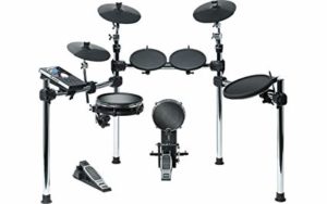 Alesis Professional Electronic Drums