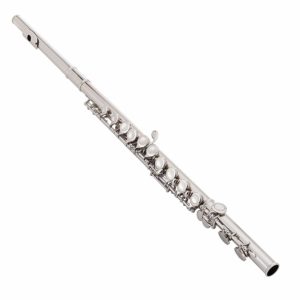 Best Flutes For Students