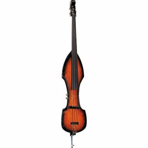 Best Professional Upright Bass