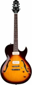 Best Semi-Hollow Body Electric Guitars