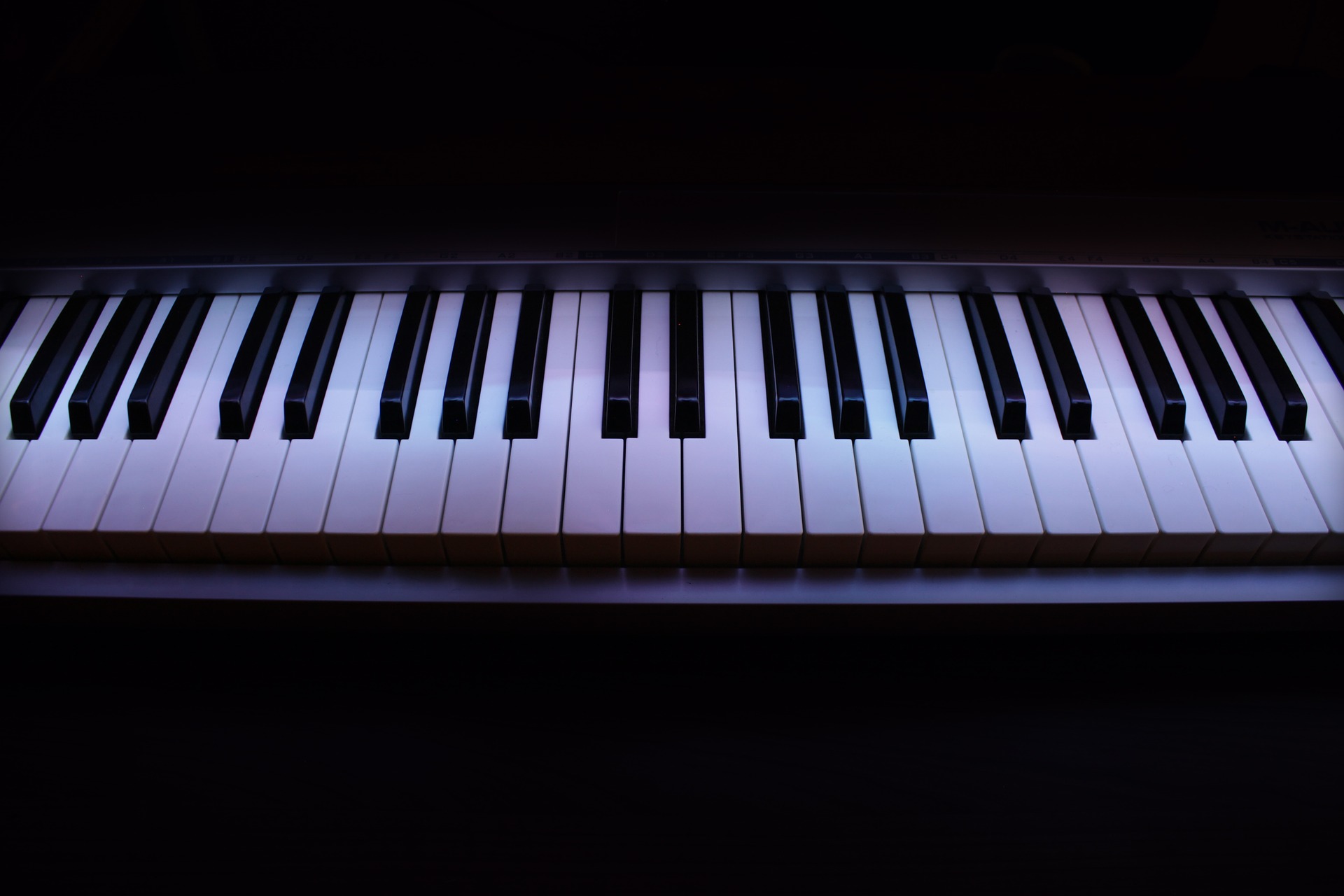 5 Best Digital Pianos With Weighted Keys - Music to My Wallet