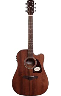 Top Electro-Acoustic Guitars Under $300