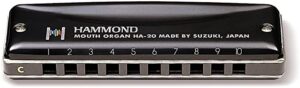 Top Harmonicas For Professionals