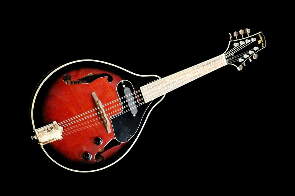 A-Style Mandolin