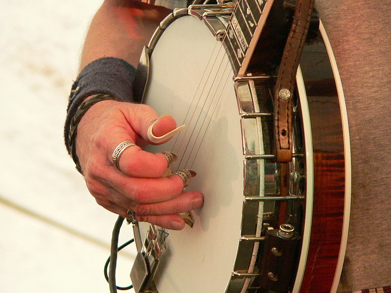 Don Wayne Reno Playing With Fingerpicks