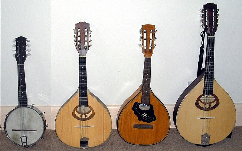 Banjolin with Mandolins